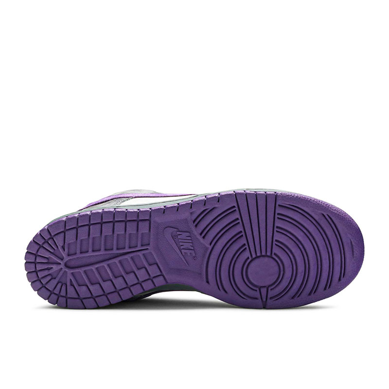 DUNK LOW PRO SB 'PURPLE PIGEON'
