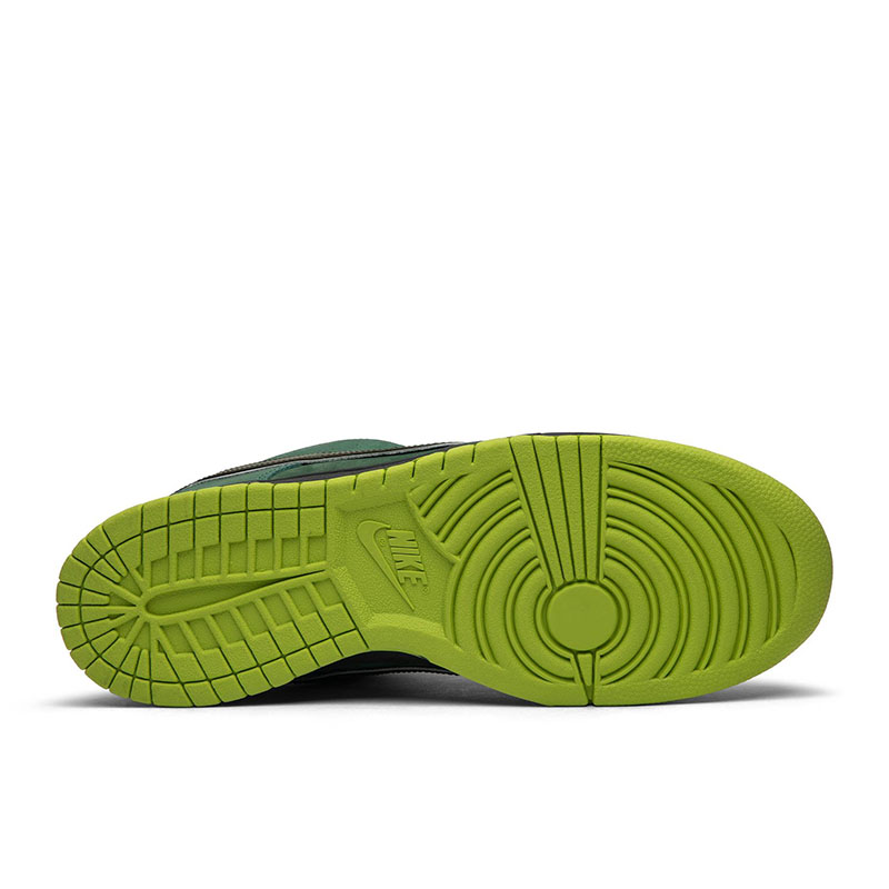 CONCEPTS X DUNK LOW SB