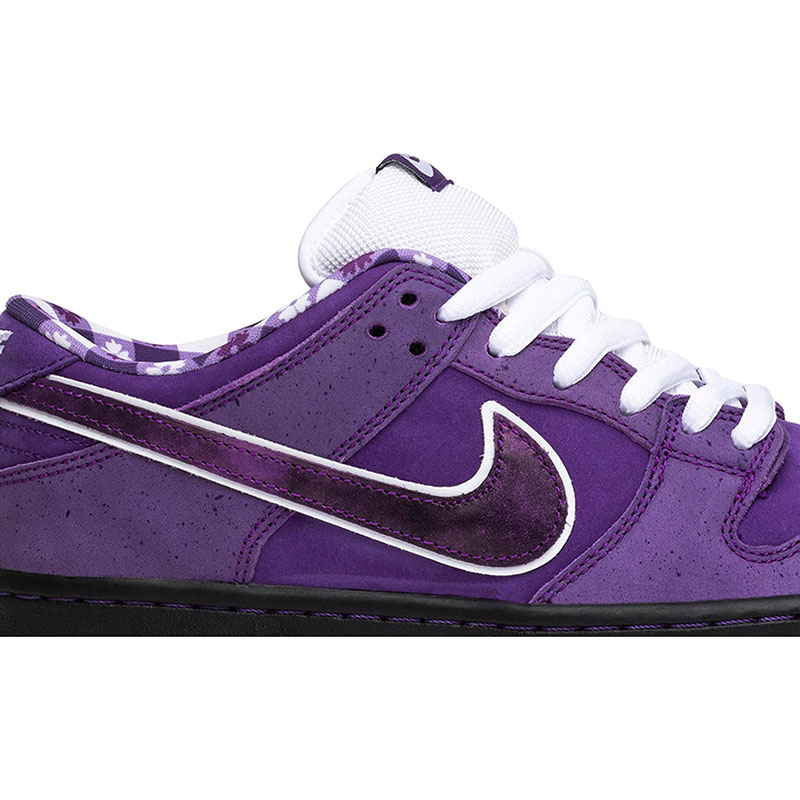CONCEPTS X DUNK LOW SB