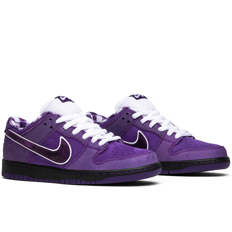 CONCEPTS X DUNK LOW SB