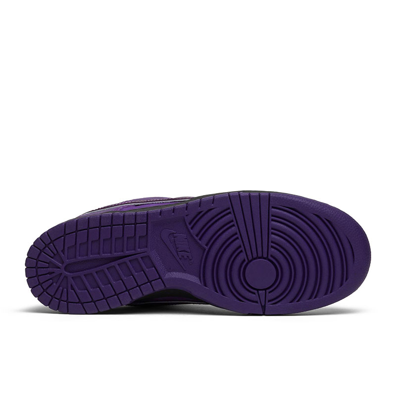 CONCEPTS X DUNK LOW SB