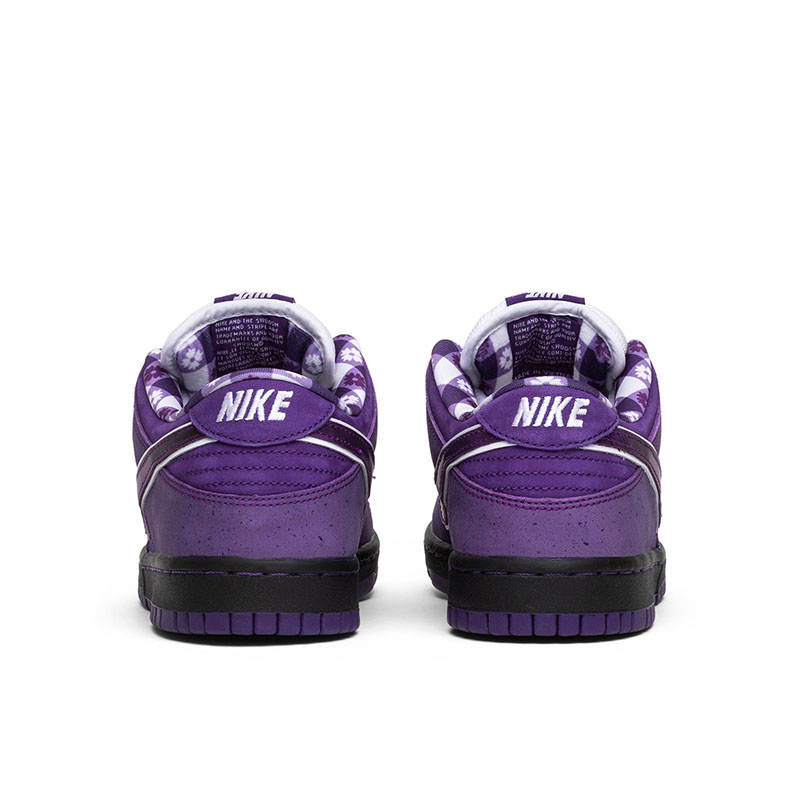 CONCEPTS X DUNK LOW SB
