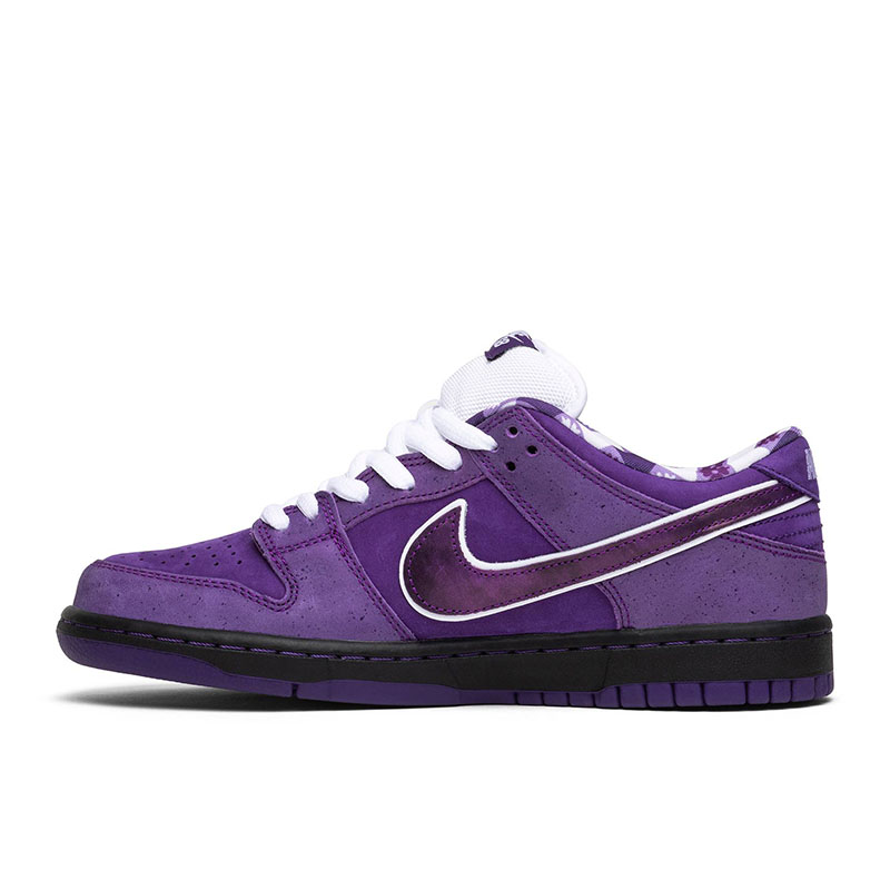 CONCEPTS X DUNK LOW SB