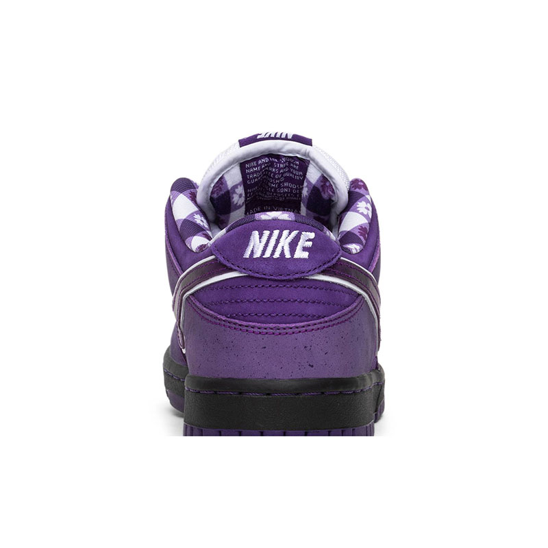 CONCEPTS X DUNK LOW SB