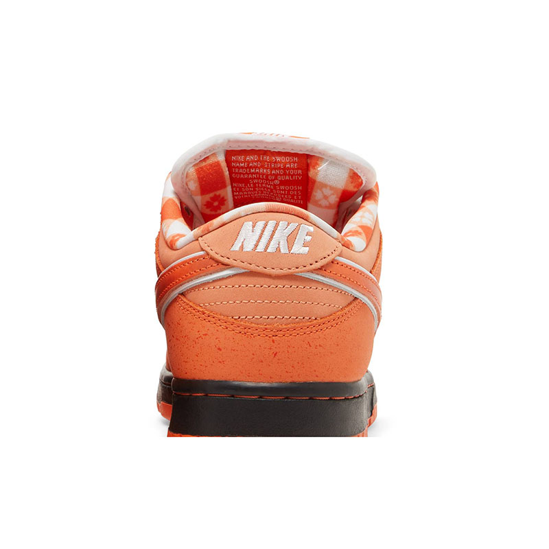 CONCEPTS X DUNK LOW SB 