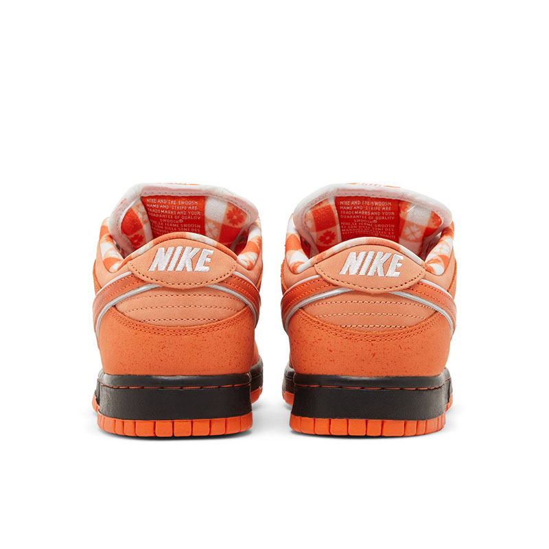 CONCEPTS X DUNK LOW SB 