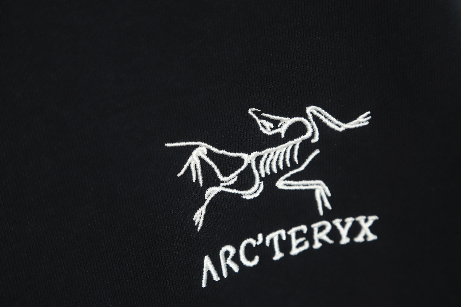 Arc'teryx 22FW Embroidered Crewneck Sweatshirt TSK1