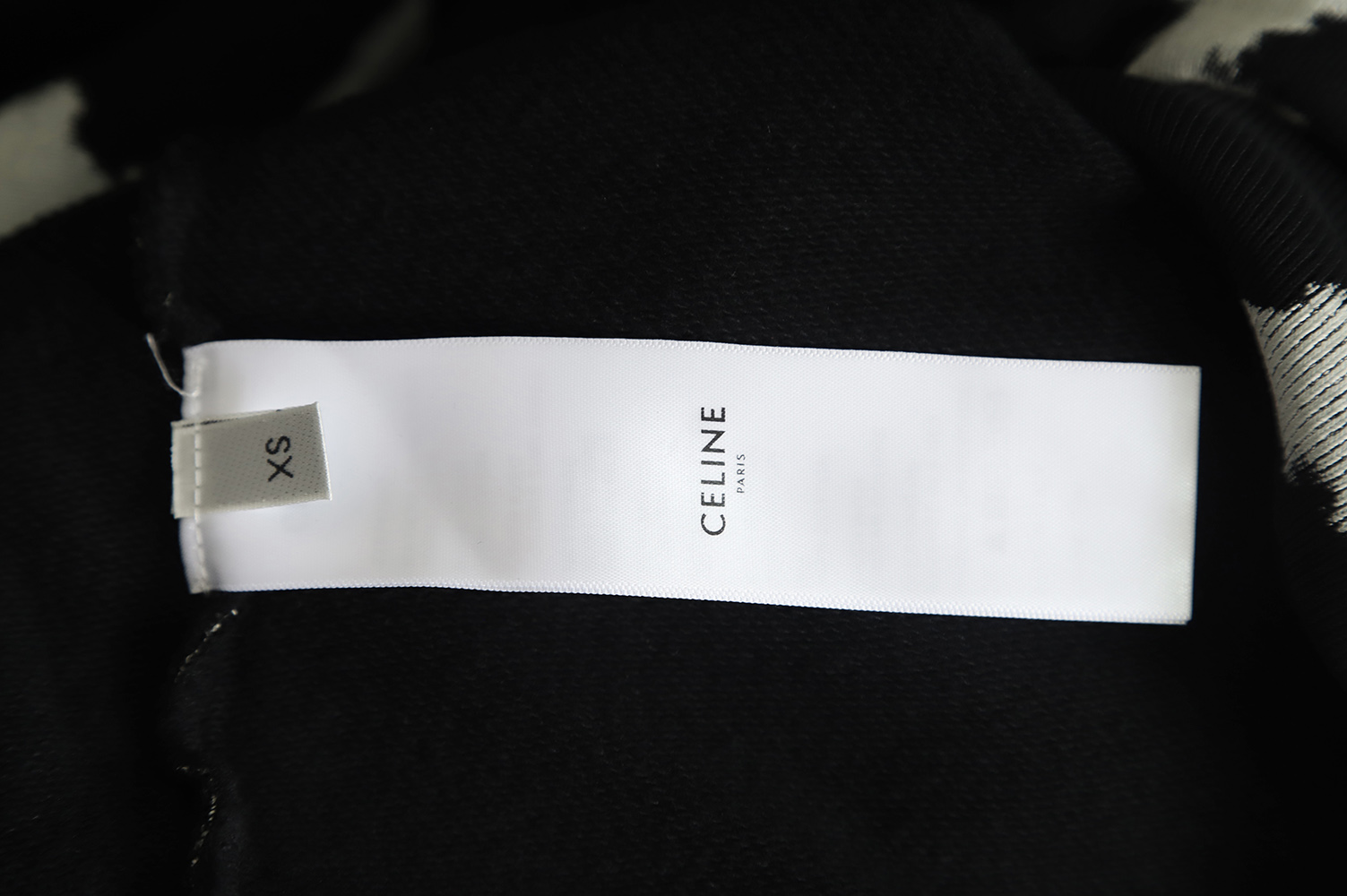 Celine 22FW zebra print hoodie hoodie