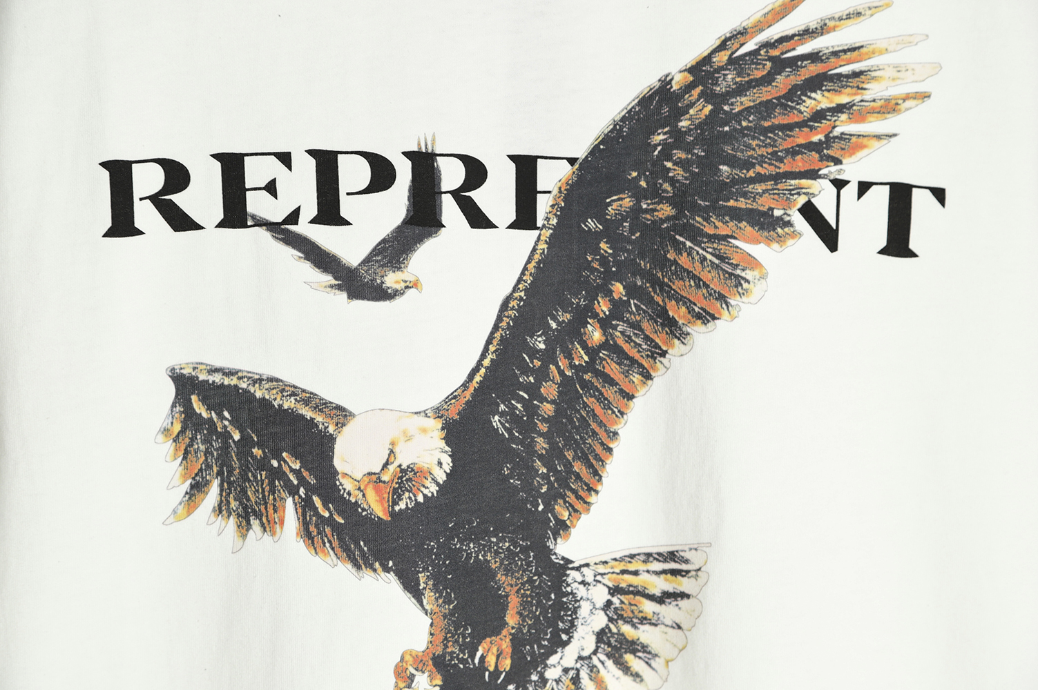 Represent Eagle Distressed Washed Short Sleeve T-Shirt
