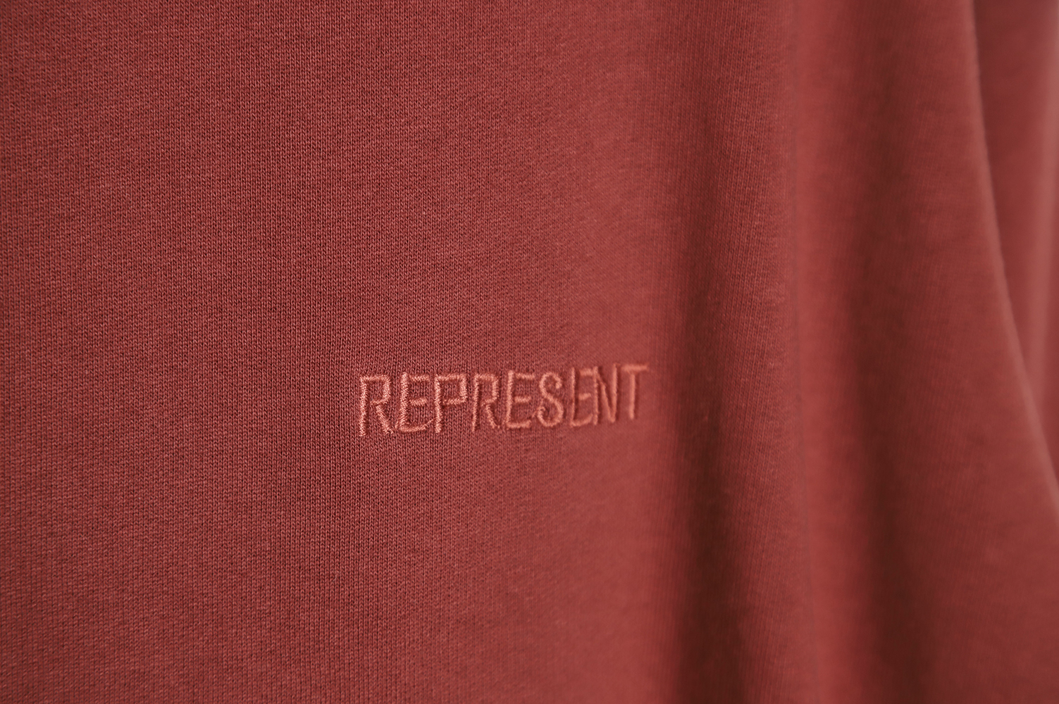 Represent 22FW Chest Letter Embroidered Hoodie TSK1