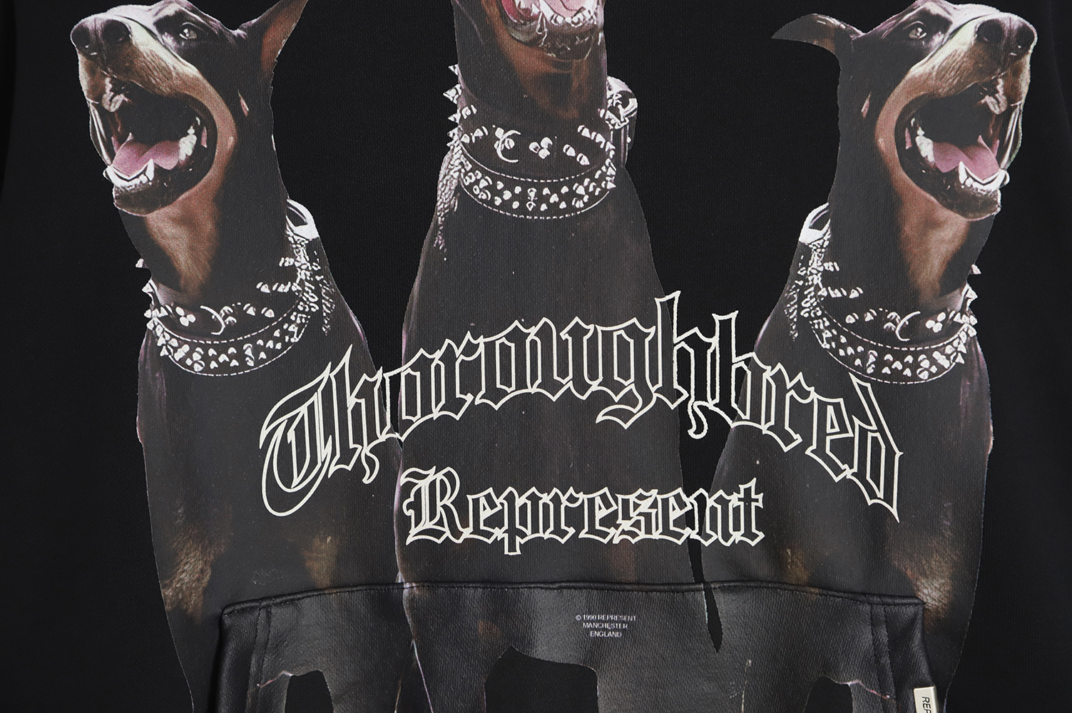 Represent 21FW Doberman Pinscher Hoodie