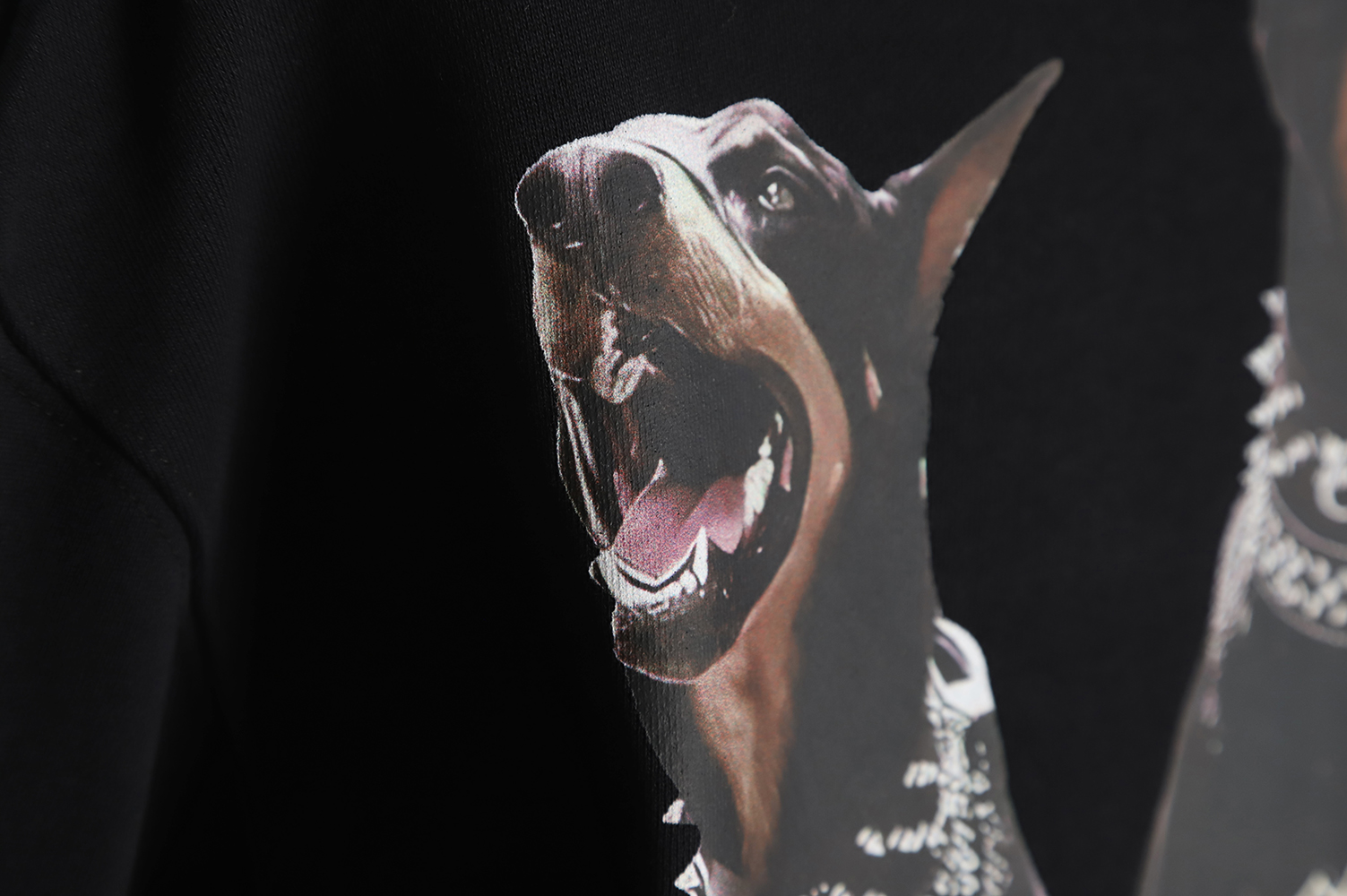 Represent 21FW Doberman Pinscher Hoodie