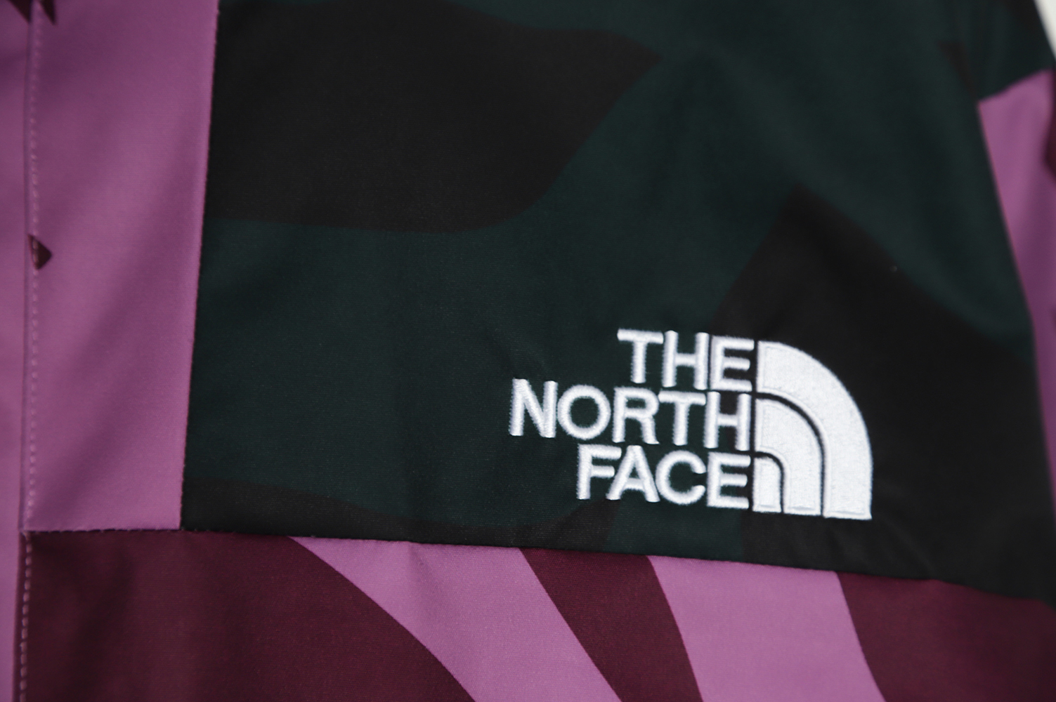 the north face kaws joint series hard shell jacket TSK1