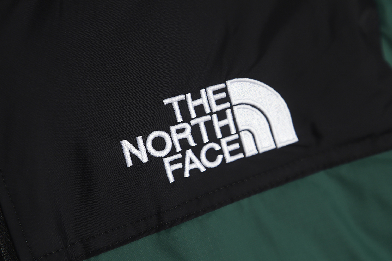 The North Face 1996 down jacket 5s version TSK6