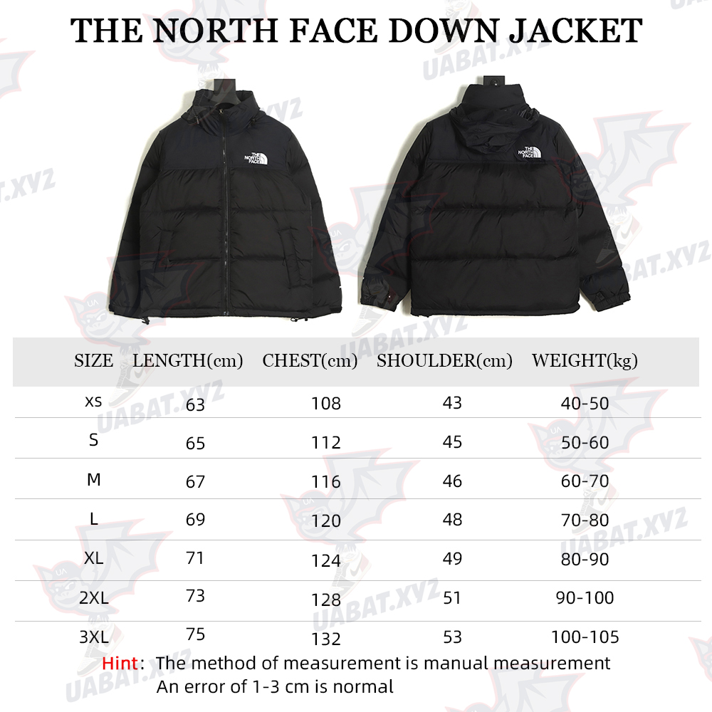 The North Face 1996 down jacket 5s version TSK9