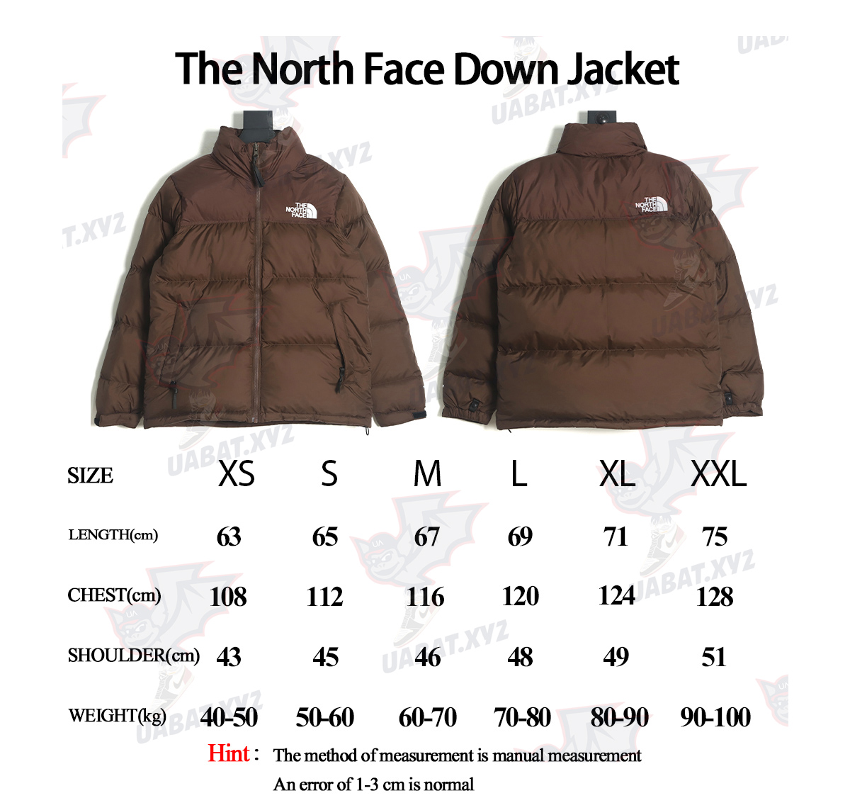 The North Face 1996 down jacket 5s version