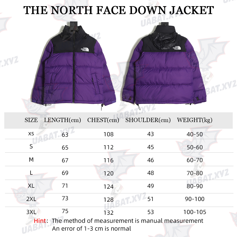 The North Face 1996 down jacket 5s version TSK4