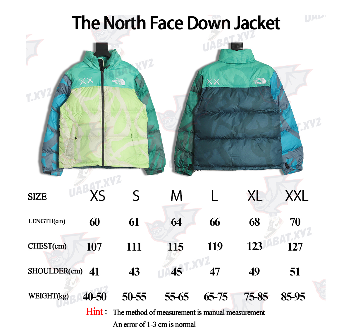 The North Face KAWS Joint 1996 American Edition Down Jacket TSK3