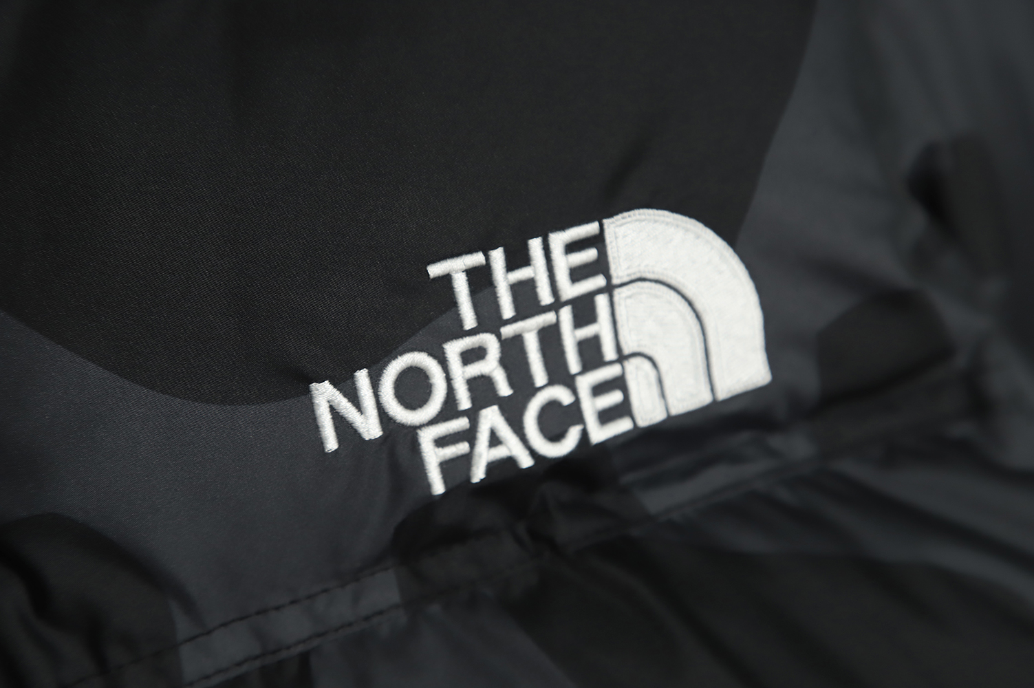 The North Face KAWS Joint 1996 American Edition Down Jacket TSK1