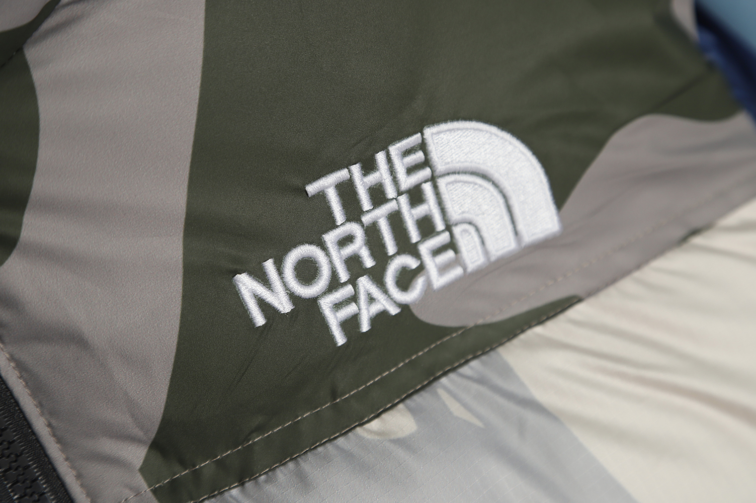 The North Face KAWS Joint 1996 American Edition Down Jacket TSK2