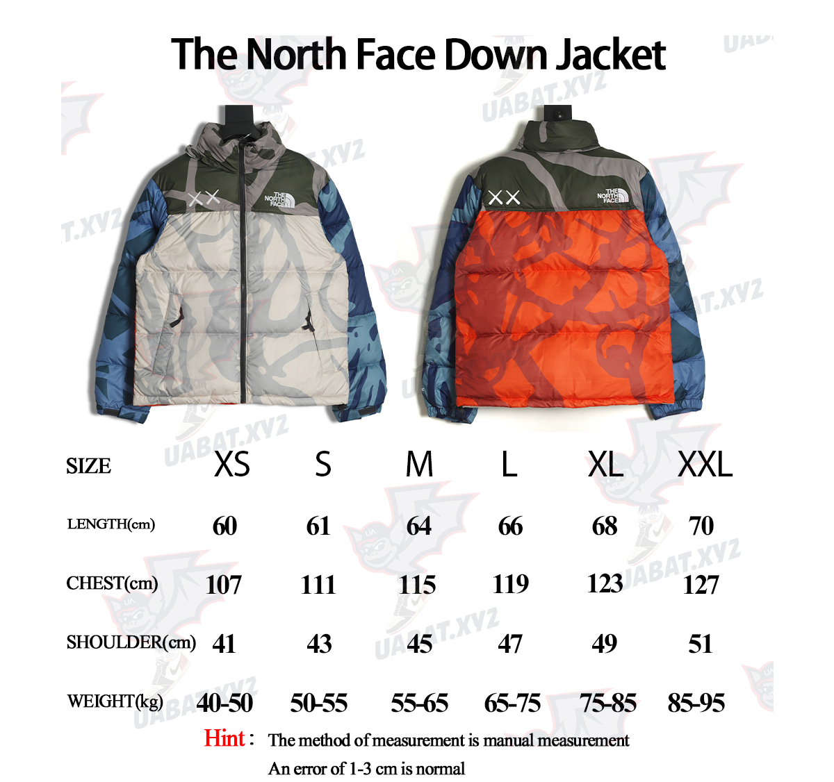 The North Face KAWS Joint 1996 American Edition Down Jacket TSK2