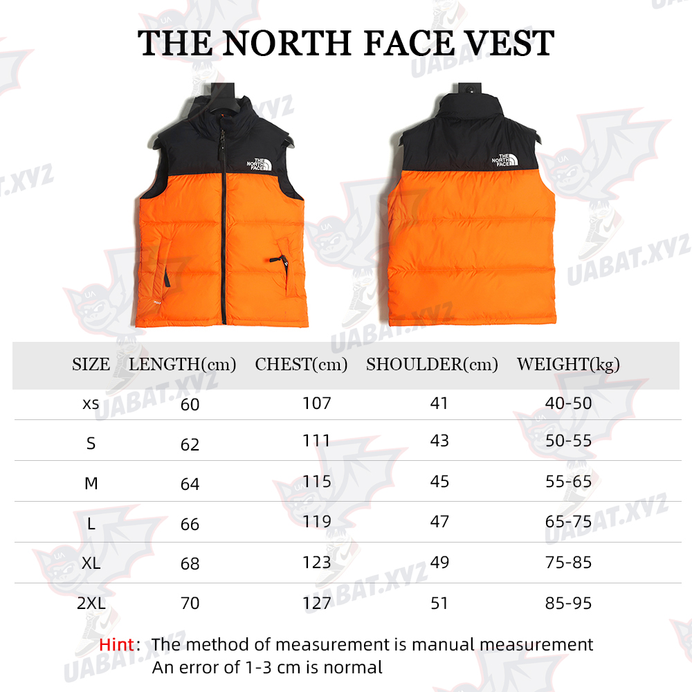 The North Face Classic Down Vest TSK2