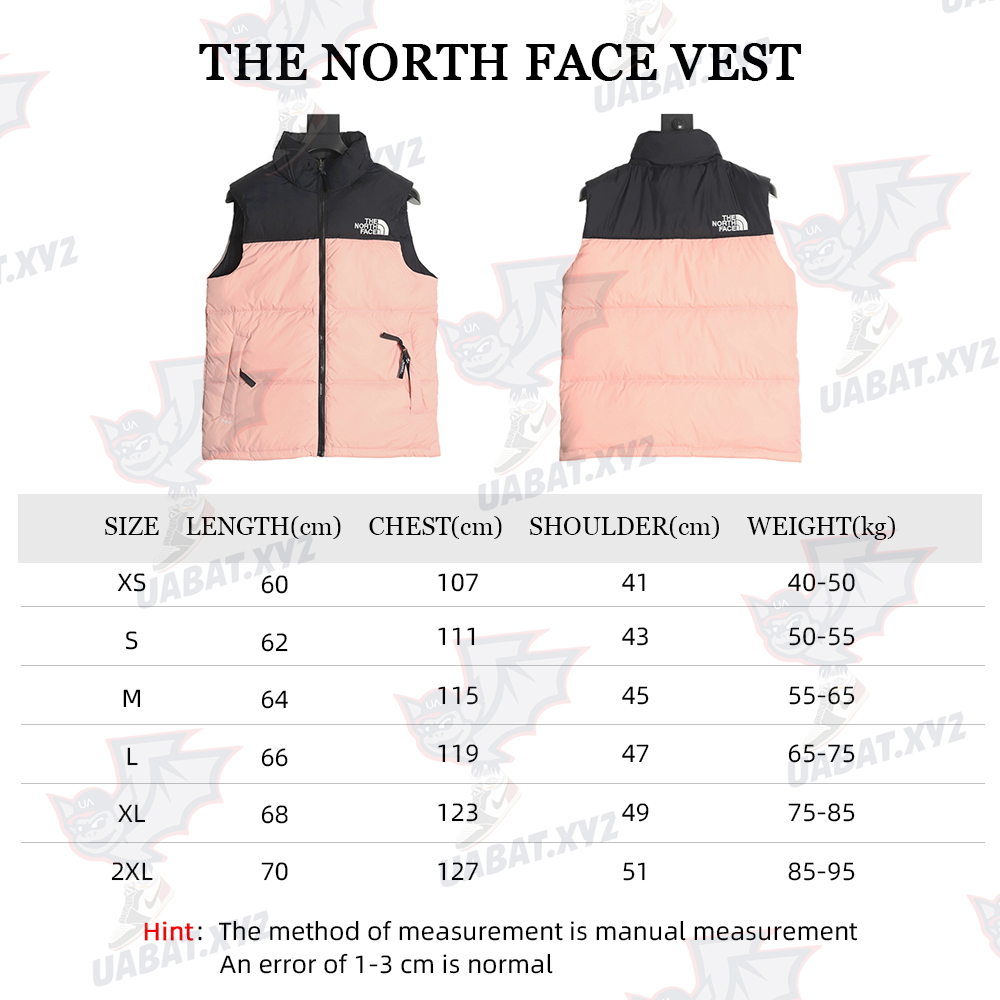 The North Face Classic Down Vest TSK3