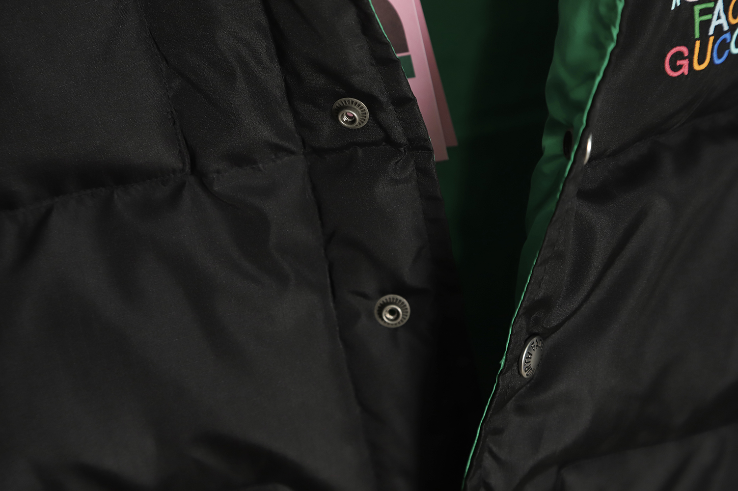 THE NORTH FACE x GUCCI Joint Stand Collar Down Vest TSK1