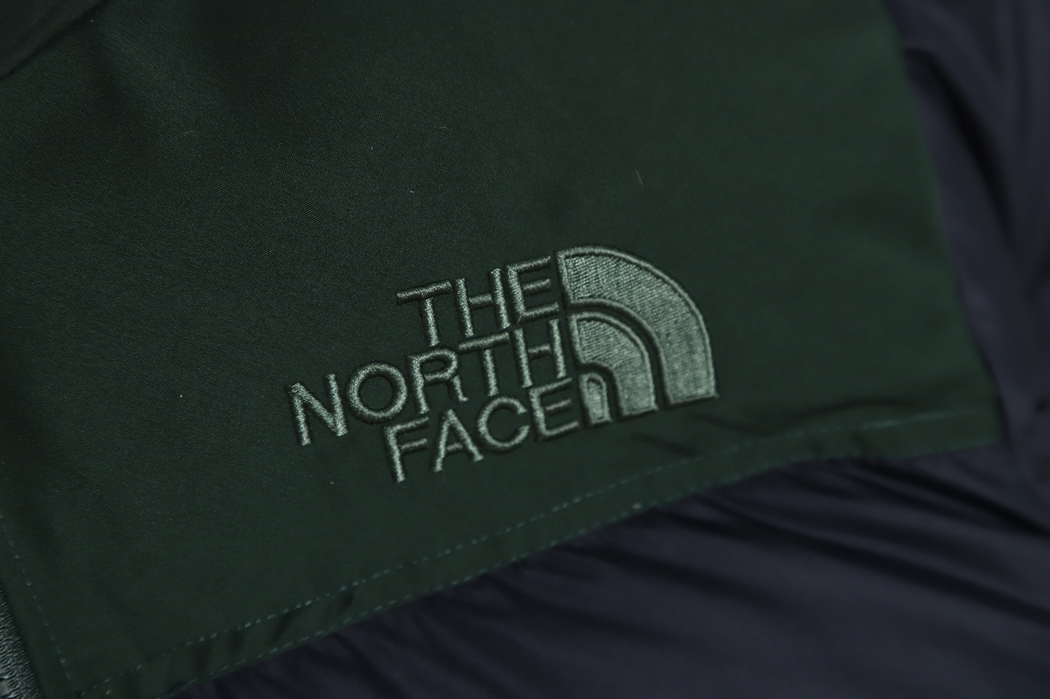 The North Face 22SS 1996Nuptse 4NCH 600 Peng Stitching Down Jacket TSK4