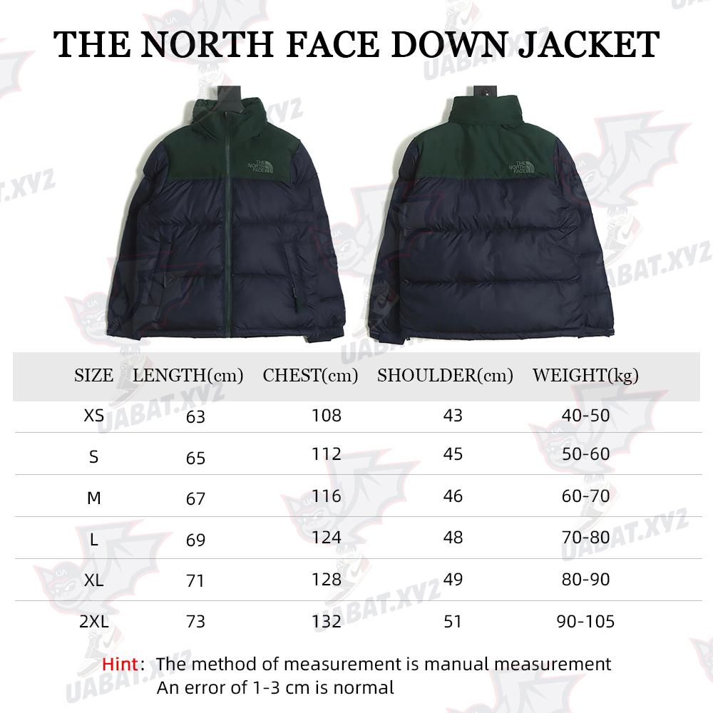 The North Face 22SS 1996Nuptse 4NCH 600 Peng Stitching Down Jacket TSK4