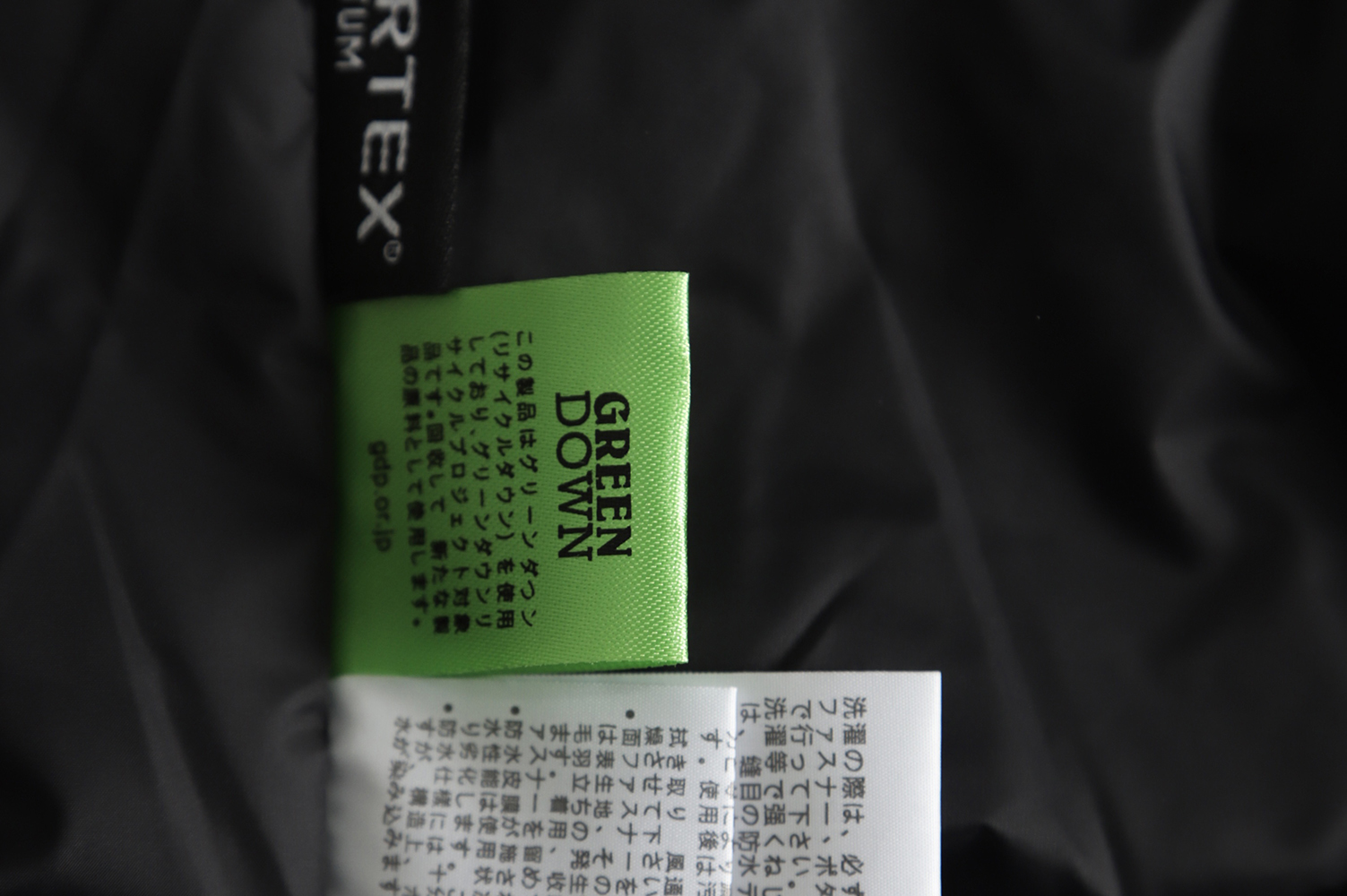 The NorthFace 1990 Down Jacket