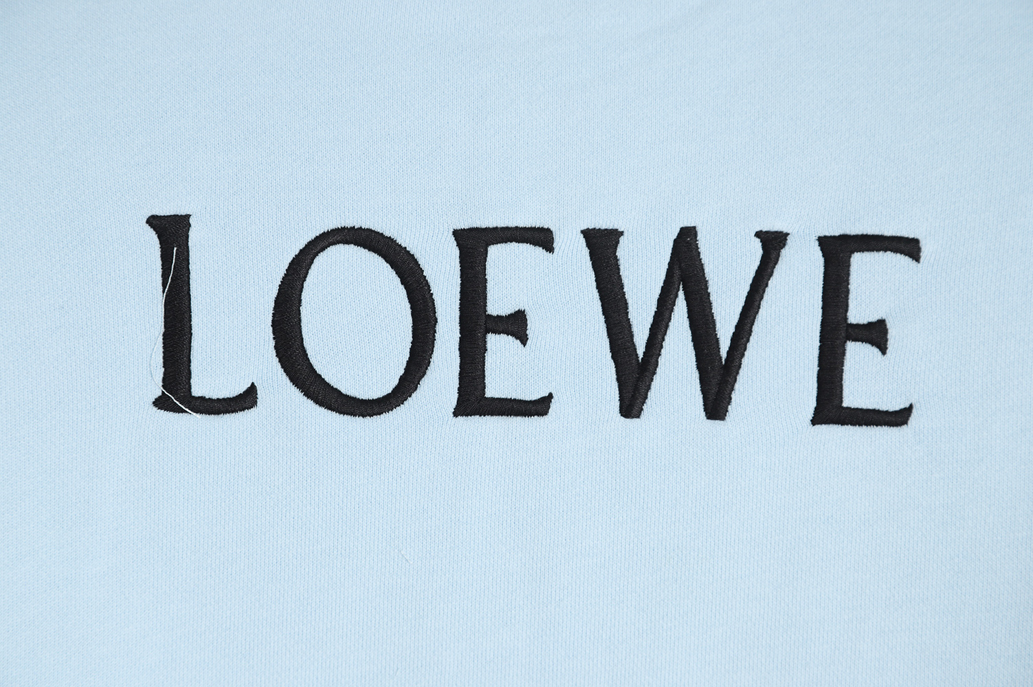 LOEWE 22FW black swan crew neck sweatshirt