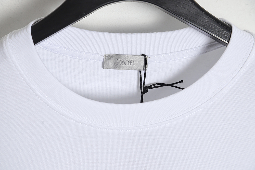 Dior 23ss ink painting short-sleeved T-shirt  TSK1
