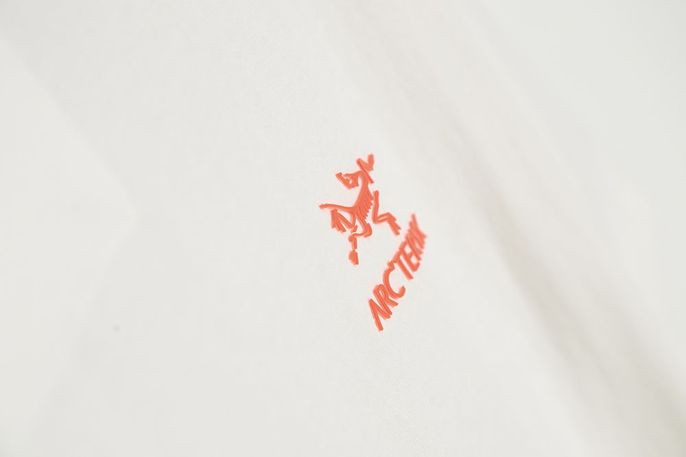 ARC'TERYX x JIL Sander Archeopteryx joint logo print short-sleeved T-shirt