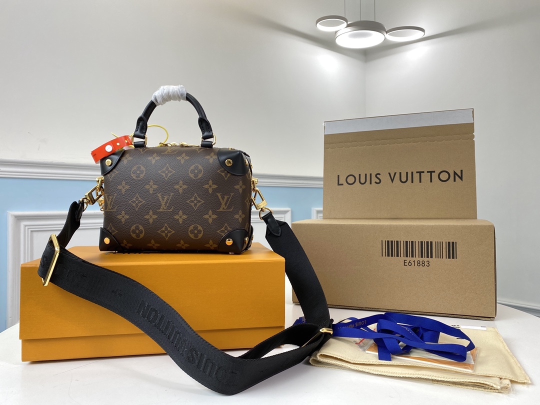 Louis Vuitton Bags M45571 20*14*7.5cm