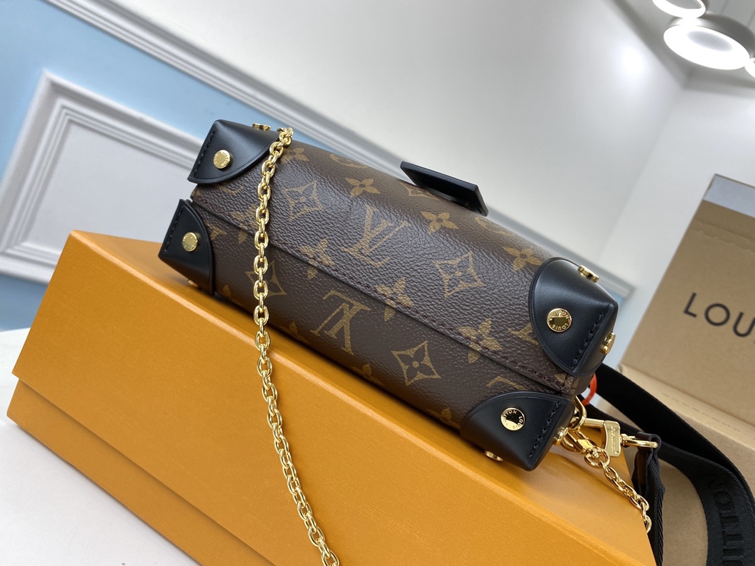 Louis Vuitton Bags M45571 20*14*7.5cm