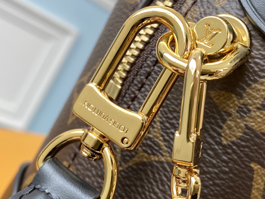 Louis Vuitton Bags M45571 20*14*7.5cm