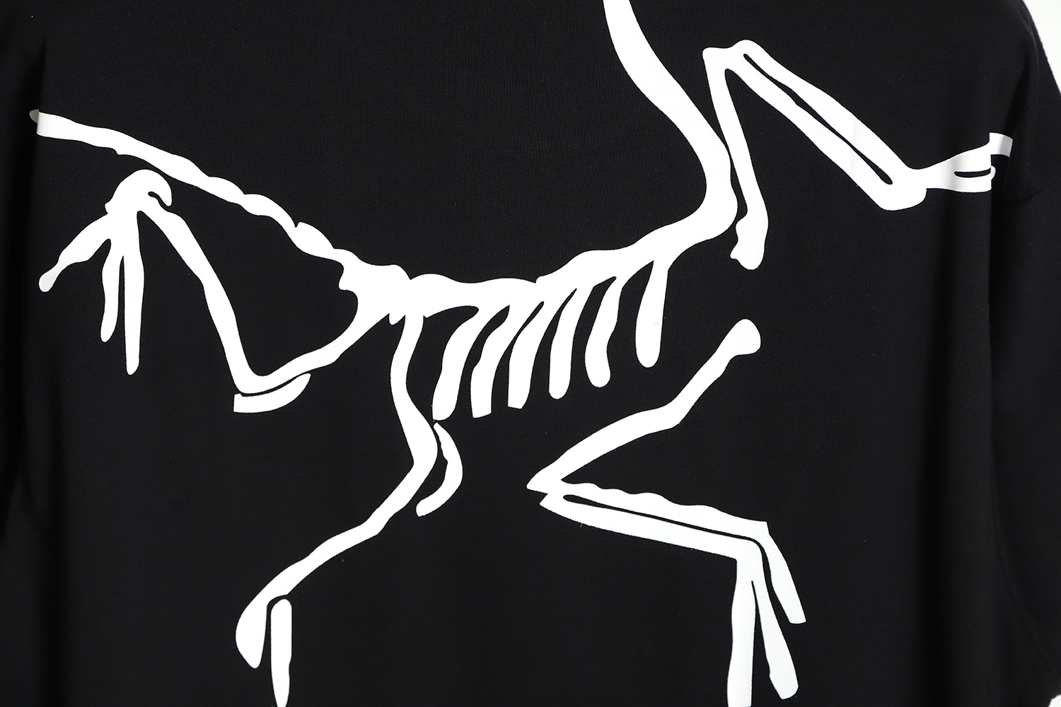 Arc`teryx x JIL SANDER Co-branded big logo print short-sleeved T-shirt TSK1