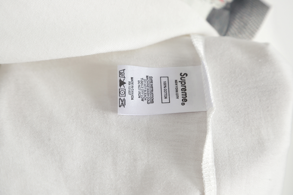 Supreme Week 8 Anna Nicole Smith Anna Nicole Smith character pattern printing short-sleeved TEE TSK3