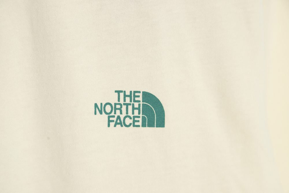 The North Face Japanese Edition Landscape Short Sleeves