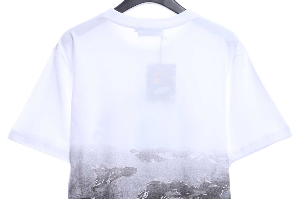 BAPE gradient print short sleeves