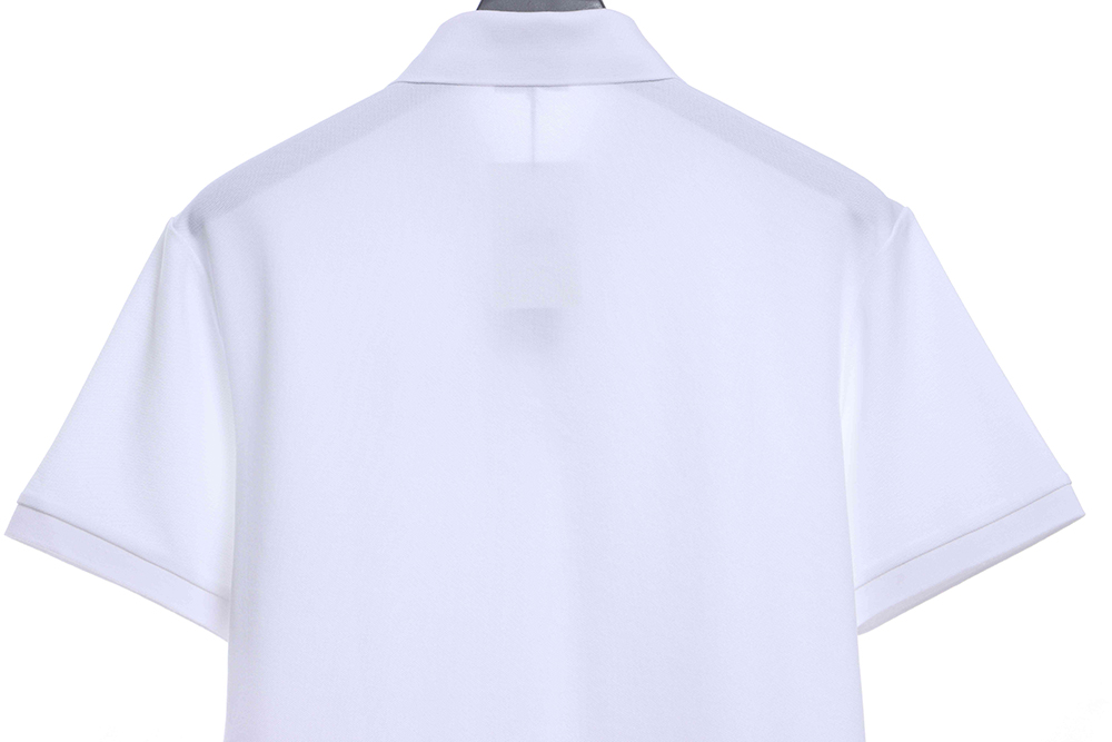Dior CD embroidery short sleeve POLOTSK1