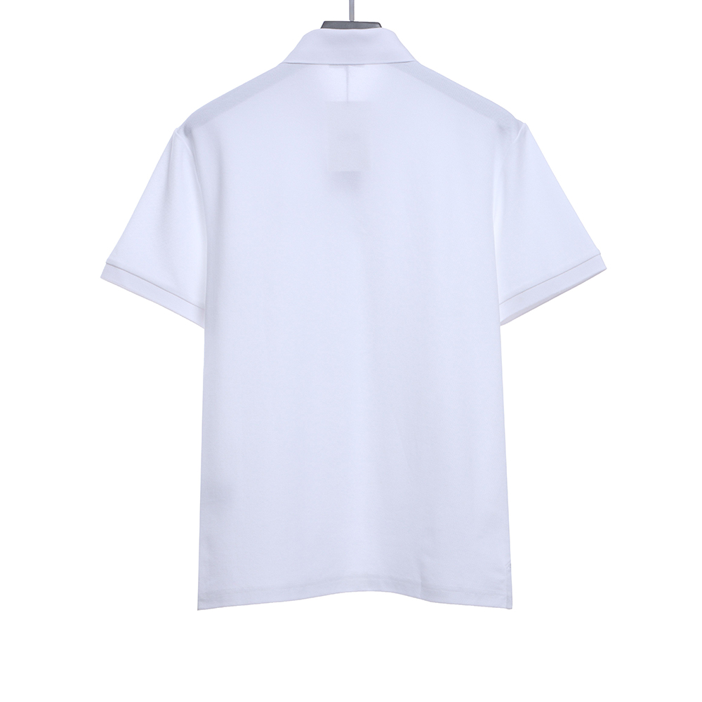 Dior CD embroidery short sleeve POLOTSK1