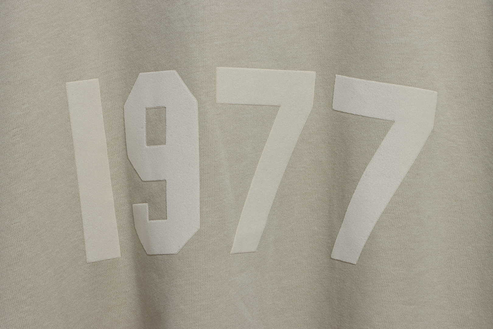 Double-line 1977 flocking print long-sleeved T