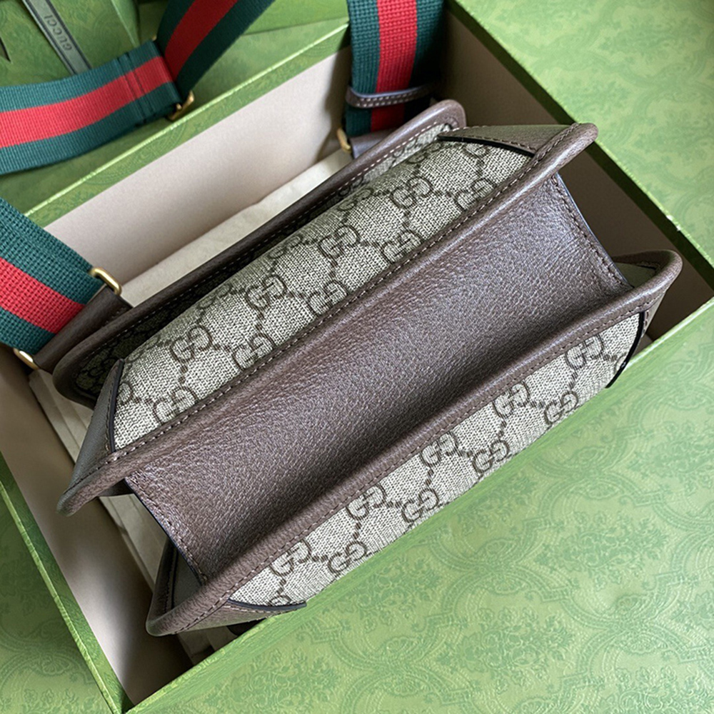 Gucci Bags 501050 22*16.5*4cm