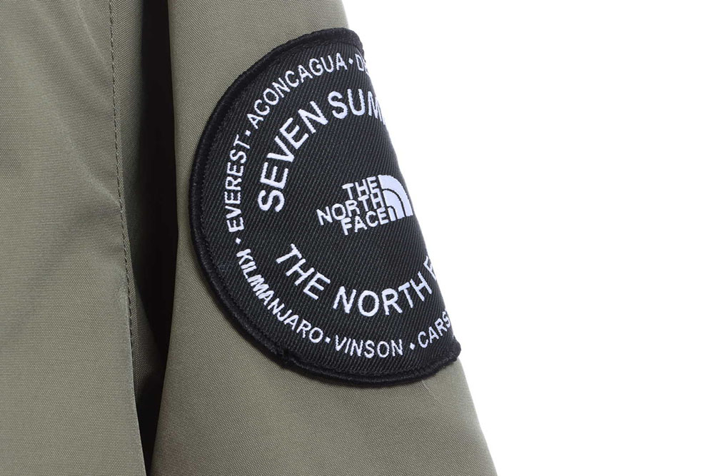 The North Face Sleeve Logo Embroidery Functional Jacket TSK1