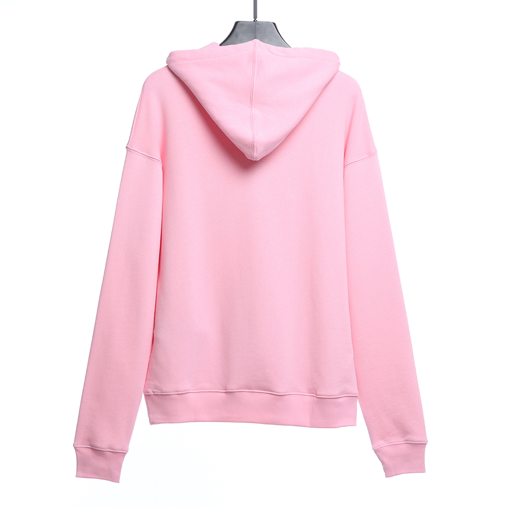 GUCCI north face joint black cat hoodie