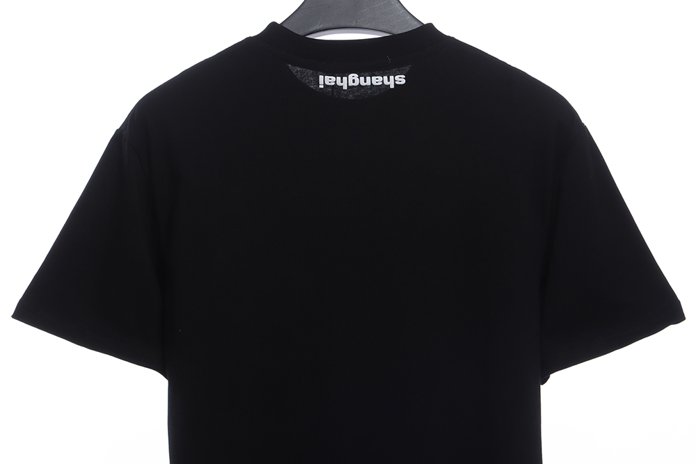 Alexander Falls Logo Print Short Sleeve TSK1