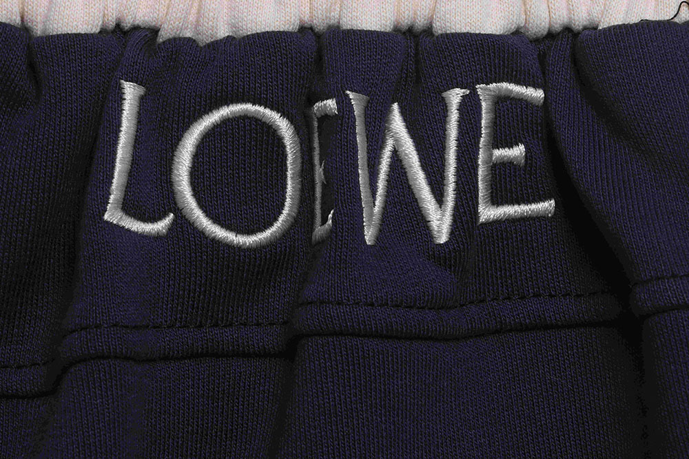 Loewe color contrast panel shorts