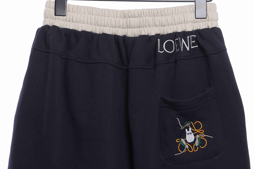 Loewe color contrast panel shorts